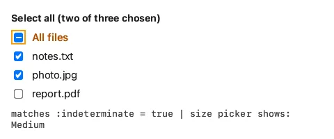 After: a select-all checkbox in its indeterminate state, and a size picker built by script